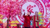 常回家看看(2021广东卫视春晚)