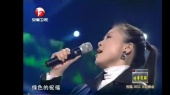 好大一棵树 安徽卫视2011元旦晚会 现场版