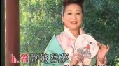 红豆相思(伴奏版)