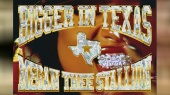Bigger In Texas