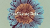 Swallow My Tears(Lyric Video)