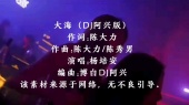 杨培安-大海(DJ阿兴版)